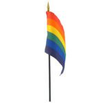GS Rainbow Stick Flag 4in x 6in